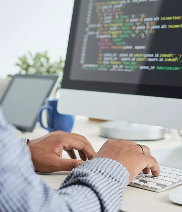 desarrollo web