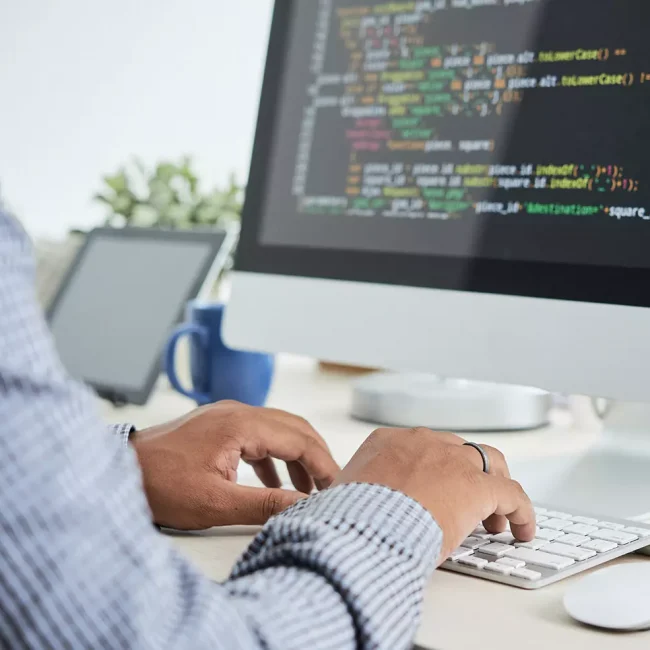 desarrollo web