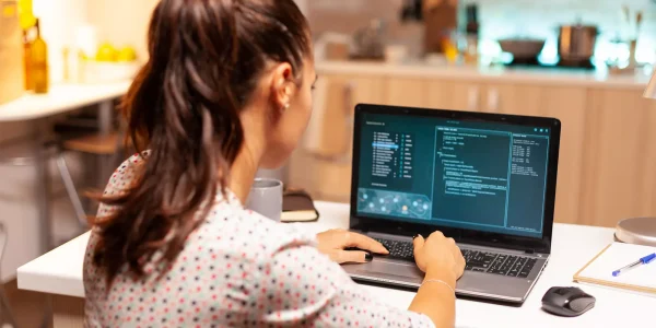 desarrollo web