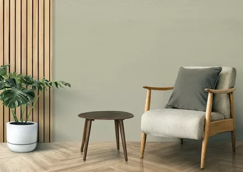 m-interior-design-with-monstera-tree
